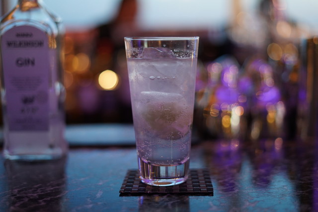 The Four Seasons Hotel New Otani Osaka