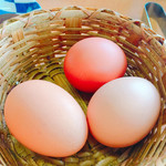 コケコッコー共和国 - 見るからに美味そな卵