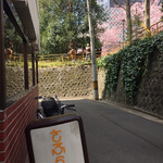 さふらん - 2019年4月。