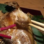 対馬のどぐろとイカ活き造り 博多 魚蔵 - ★のど黒の熟成焼きの身