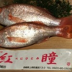 対馬のどぐろとイカ活き造り 博多 魚蔵 - 紅瞳