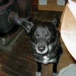 モレーナ - 元気だった頃のチャーリー(2001)