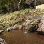 洋食 つばき - お庭