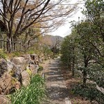 洋食 つばき - アプローチ