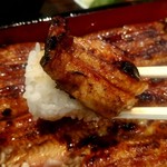 うなぎ 魚政 - 特上鰻重　坂東太郎