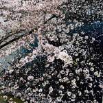 OGGI - わかりづらいですが、手前が桜の枝、奥は川面に浮かぶ   おびただしい数の花びらです^_^