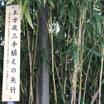 Takahata Manjuu Shouseidou - 土方歳三が植えた矢竹（矢になる竹は矢竹という種類です）