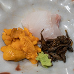 うを徳 - 2019.4 お造り（淡路星鰈、函館バフンウニ）、四万十ゴリ有馬煮