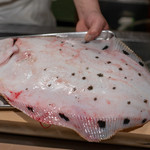 うを徳 - 2019.4 淡路星鰈（キロ12,000円 魚体2.5kg）