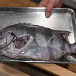 うを徳 - 2019.4 伊勢イシダイ（キロ3,200円 魚体1kg）