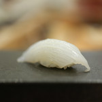 あま木 - アオリイカ☆