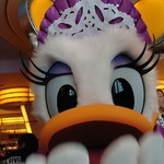 シェフ・ミッキー - 