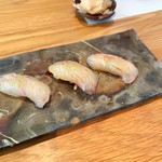 希凛 - ２ イシダイ 