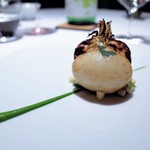 レフェルヴェソンス - 