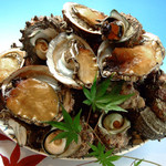 浜料理 侍 - 料理写真: