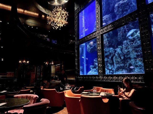The Photo Of Interior Aqa Restaurant Bar Luxis Tabelog The Photo Of Interior Aqa Restaurant Bar Luxis Tabelog