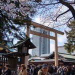 覇王 - 今年の靖国の桜も美しかった