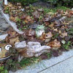 満幸商店 - 淡島神社境内かえる