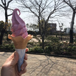 ローズ喫茶 - 赤バラソフトクリーム350円⭐️ほんのりバラ味^_^