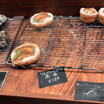 ファイブラン - 