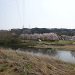 五十嵐酒造 - 景色が最高！