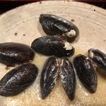 ろっかん - タテボシガイ