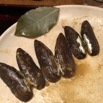 ろっかん - ササノハガイ