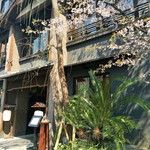 THE KAWABUN NAGOYA - 威風堂々とした和洋折衷の建物の入口には、咲き始めた桜や柳の木が