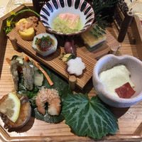 横浜 星のなる木 - 