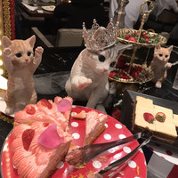 ロビーラウンジ 「マーブルラウンジ」 ヒルトン東京 -  ロビーラウンジ 「マーブルラウンジ」 ヒルトン東京 -
