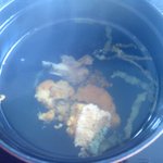 金剛食堂 - いちご煮。