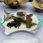 新野地温泉 相模屋旅館 - 