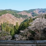 森本 - 吉野山、一目千本からの写真。
            まだ早すぎました...orz