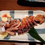 Hikari Zushi - 