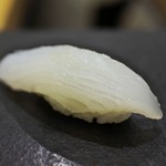 あま木 - アオリイカ