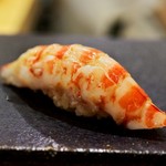 あま木 - 車海老（三河一色産）