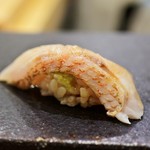 あま木 - のどぐろ炙り（対馬産）