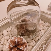 Terres de Truffes, Tokyo - 