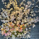 西麻布けんしろう - 外観