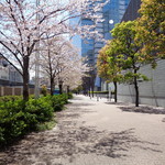 ラーメン二郎 - 春が過行く