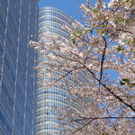 ラーメン二郎 - 緑も増えてきたね