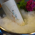 海のしょうげつ - 冷酒：しょうげつ(500ml)