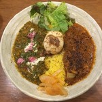 SPICY CURRY 魯珈 - 2種カレー＋るうろう煮玉子(70倍ポークカレー、春の薫り。桜と菜の花と鰈のサグフィッシュキーマ)
