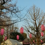 Minami Indo Dainingu - 新井薬師公園の花は寂しい感じでしたが