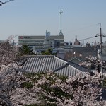 Mendo Koro Idumi - いづみ近く「丹八山公園」