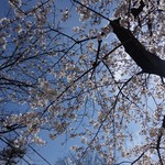 Mendo Koro Idumi - いづみ近く「丹八山公園」