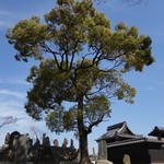 Mendo Koro Idumi - いづみ近く「丹八山公園」