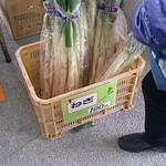 鵜喜鵜喜 - ねぎ４本100円