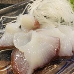 錦江湾 - 水タコ。