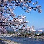 みっふぃー桜べーかりー - 嵐山公園から渡月橋を望む